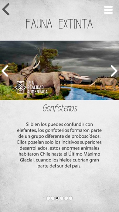 Patrimonio O'Higgins Screenshot