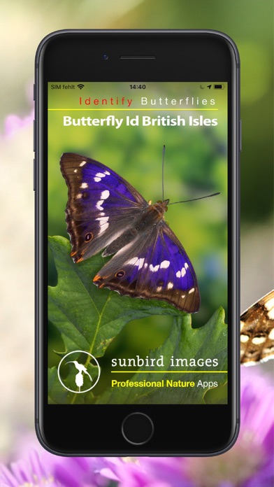 Screenshot #1 pour Butterfly Id - UK Field Guide