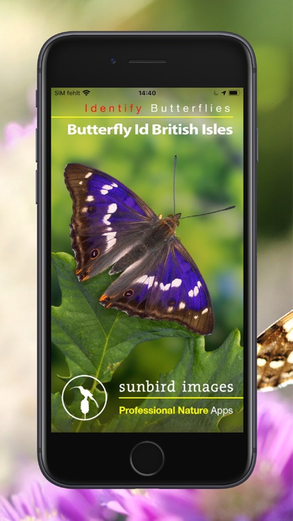 Butterfly Id - UK Field Guide
