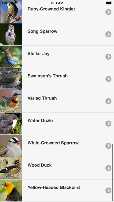 Kootenay BIrd Sounds Screenshot