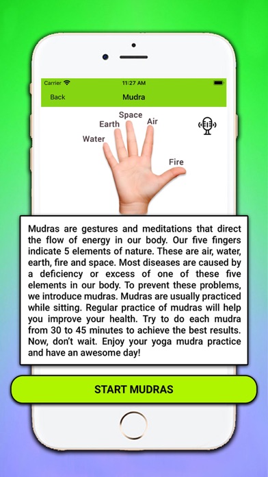 Yoga Posture & Surya Namaskar Screenshot