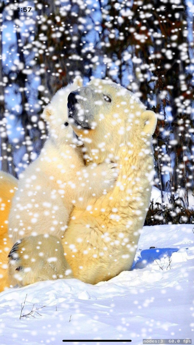 Snow Storm Live Screenshot