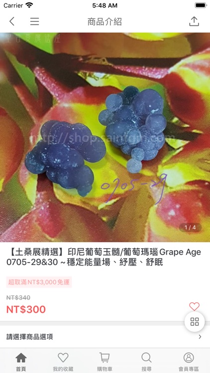 聖哲曼魔法屋：超人氣魔法王國 screenshot-3