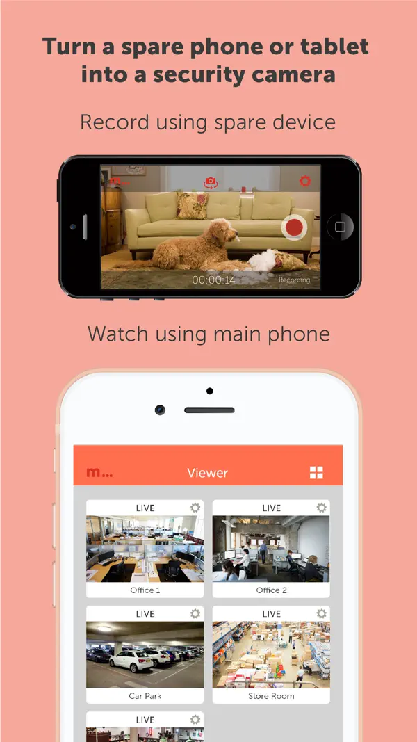 Manything, Screenshot 1