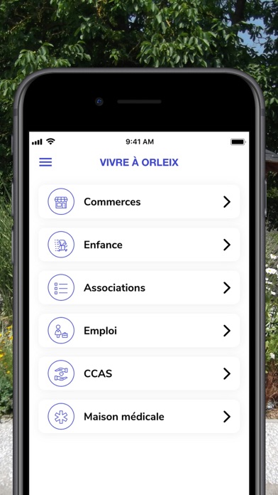 Orleix Screenshot