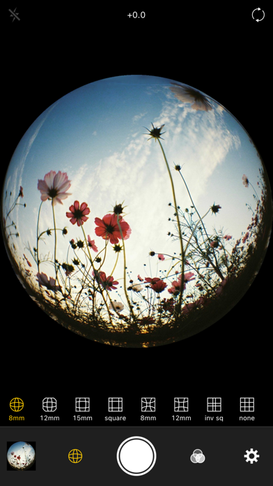 Fisheye Lens - Lomo Camera Screenshot