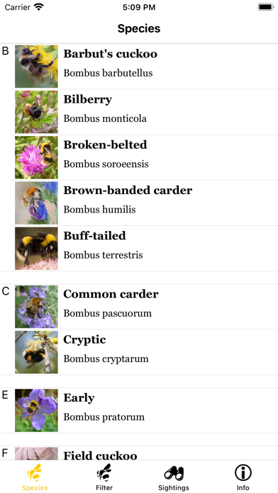 BeeID Screenshot