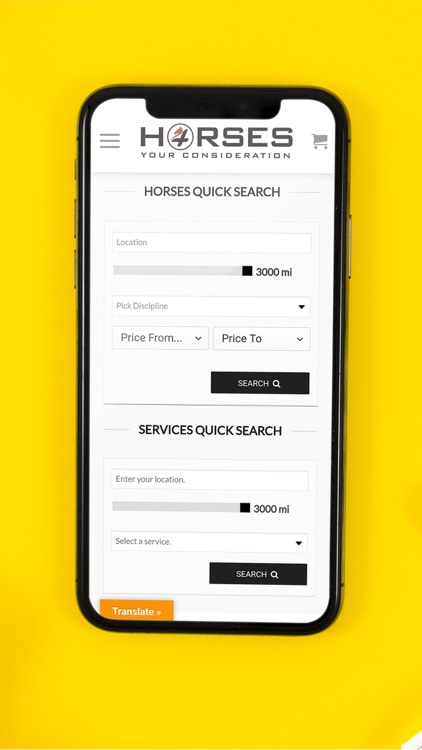 Horses 4 Your Consideration