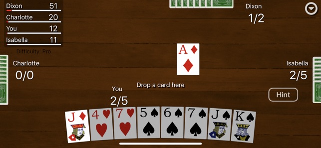 12 Single Player Card Games to Enjoy - VIP Spades