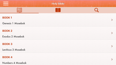 Norwegian Bible: Bibelen Norsk Screenshot