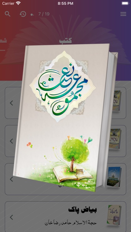 Majmooa e Naat screenshot-3