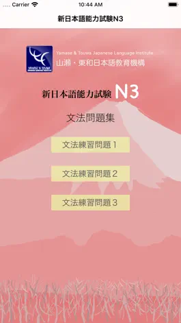 Game screenshot N3-文法問題集 hack