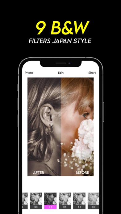 Filla Japan Screenshot