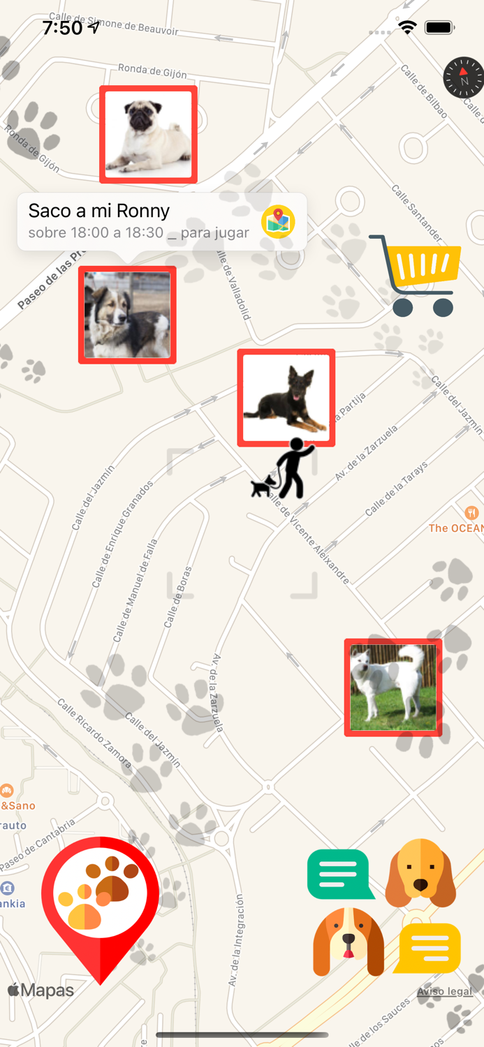 Dog Chat - Dogs Chats