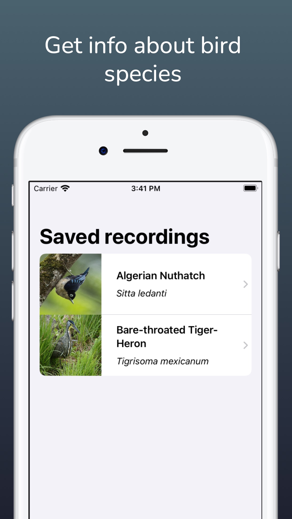 Screenshot do app Bird Sound Identifier