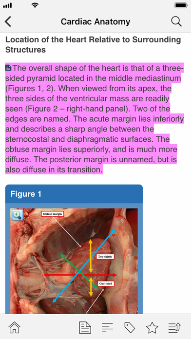 STS Cardiothoracic Surgery Screenshot