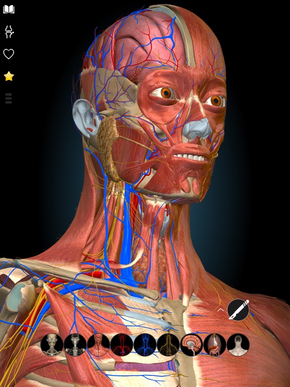 3D Anatomy Learning - Atlasのおすすめ画像3