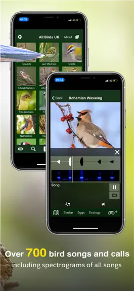 Game screenshot All Birds UK - the Photo Guide hack