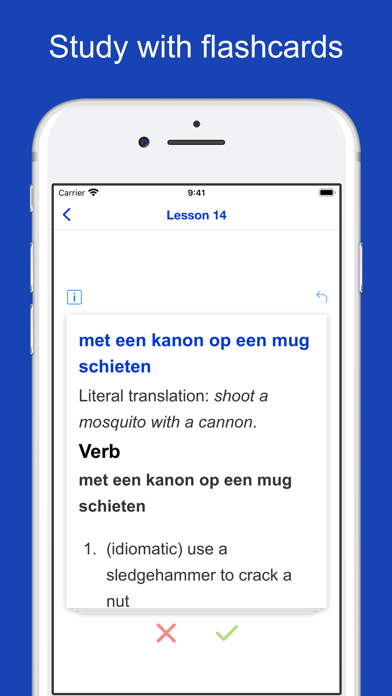 Dutch Idioms and Proverbs Screenshot