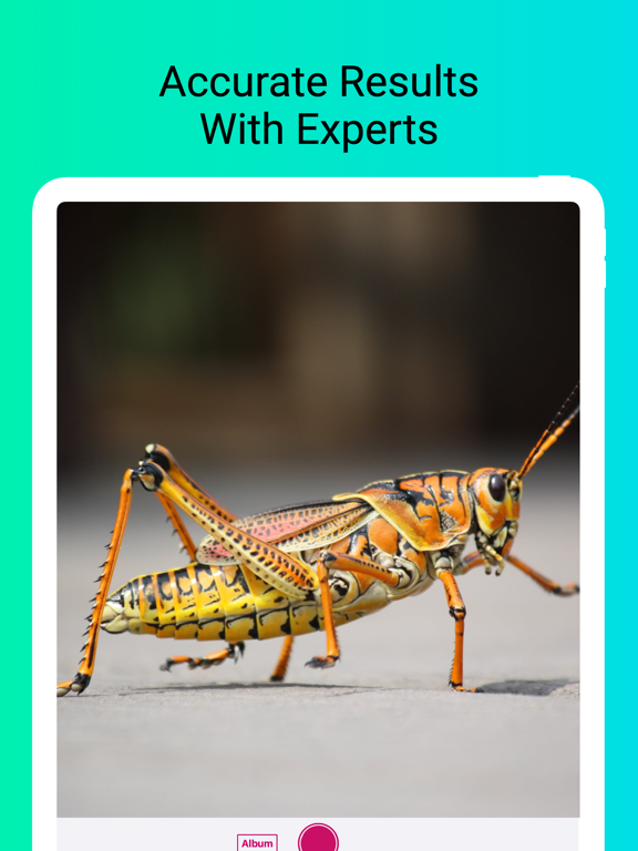 Insect Identifier - 1秒昆虫絵本のおすすめ画像2