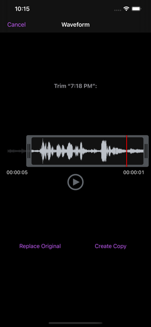 ‎You Record Pro Screenshot