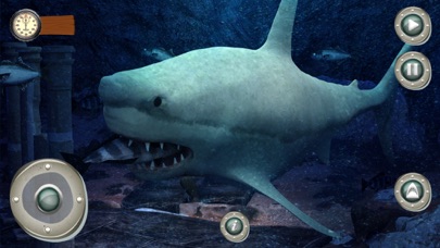 MY Hungry Survival Shark Games Screenshot