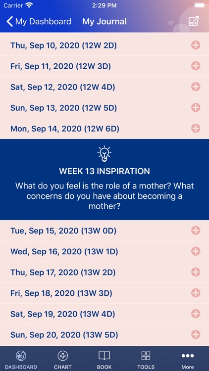 My Pregnancy A to Z Journal