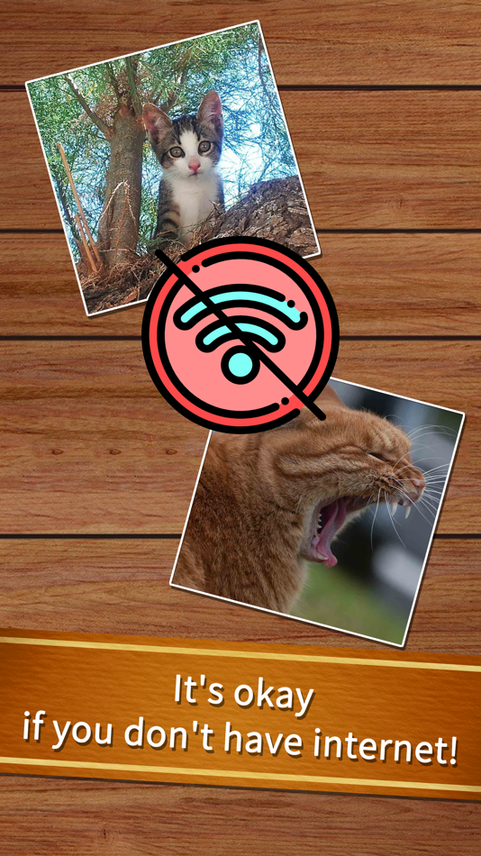 #5. Easy cat puzzle (iOS) 由: NO ANSWER STUDIO