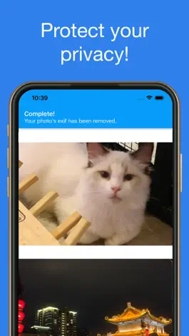 Game screenshot NoExif • Photo exif remover mod apk
