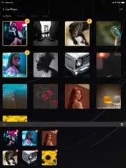 Фото слайд-шоу - video maker айпад изображения 2