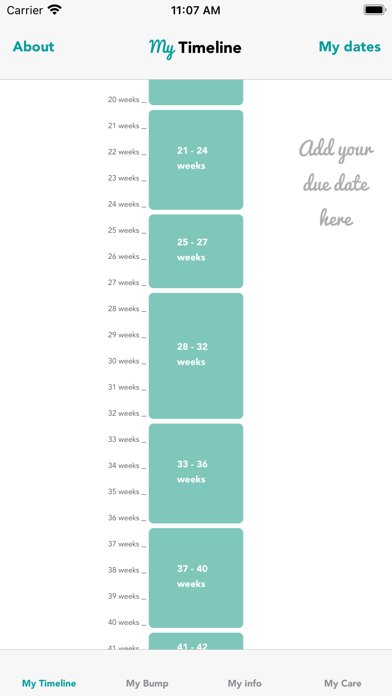 HOMEBODY SCULPT