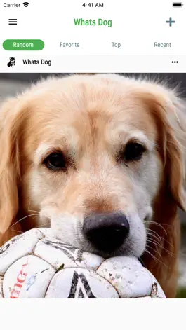 Game screenshot Whats Dog hack