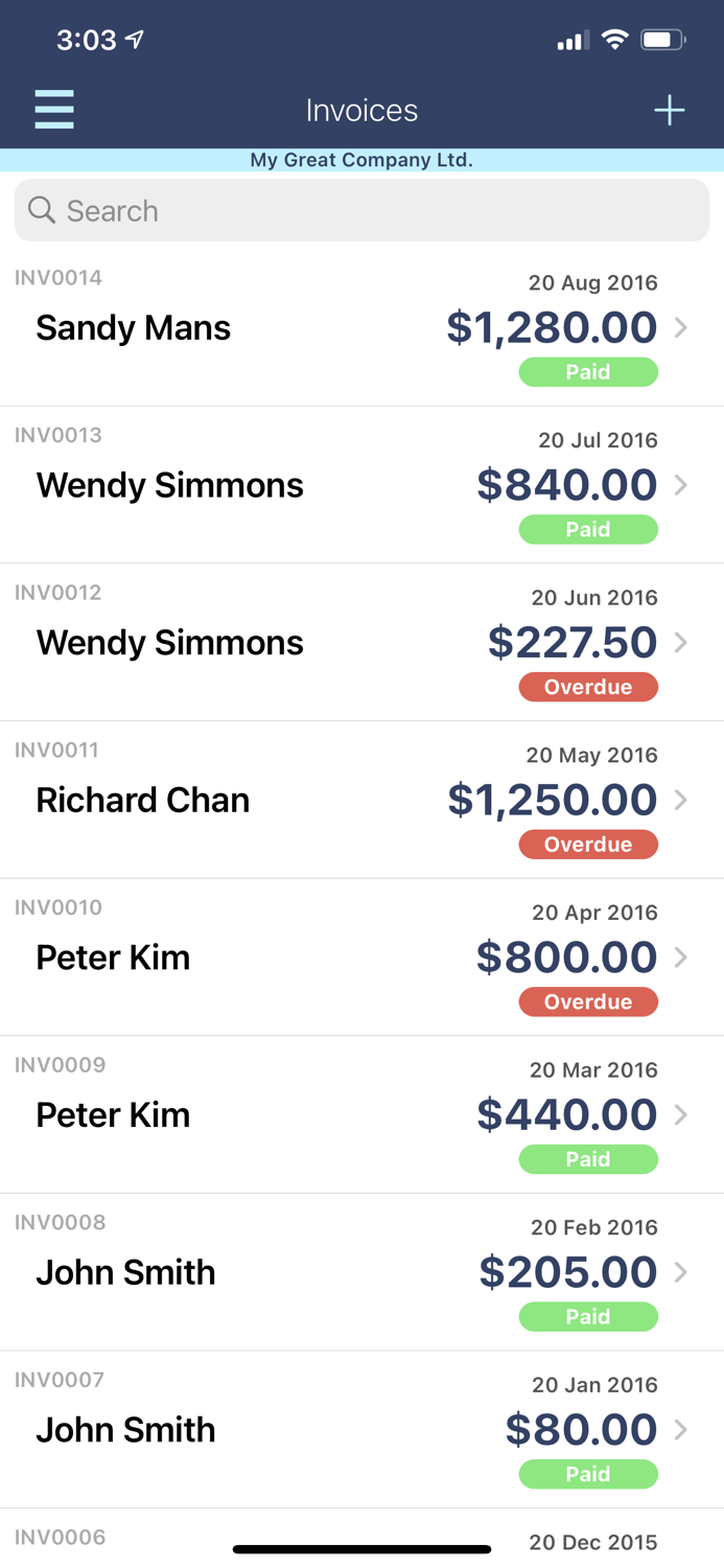 Invoice Professional 3