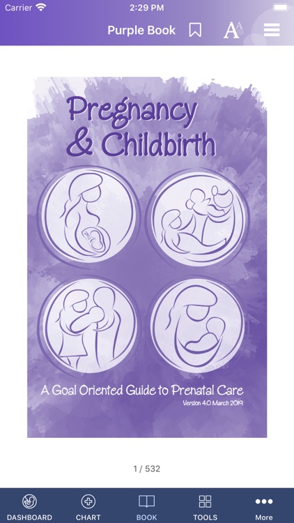 My Pregnancy A to Z Journal screenshot-3