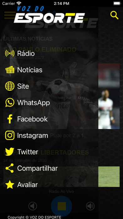 Screenshot #2 pour Voz do Esporte