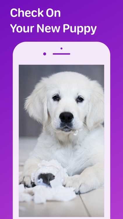Pet Monitor VIGI screenshot-3