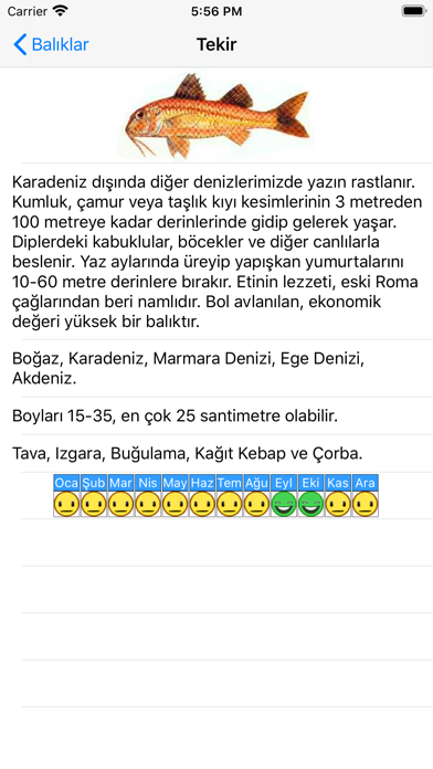 Balık Dünyası Screenshot