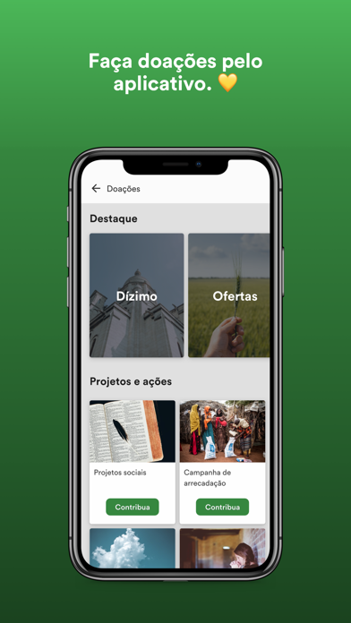 Projeto Renovo Screenshot