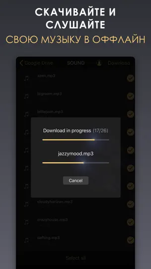 Скриншот Equalizer+ HD Music Player на iPhone 6