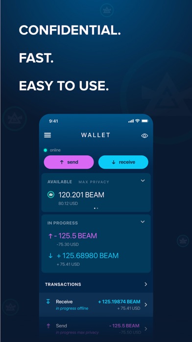 How to cancel & delete Beam Privacy Wallet from iphone & ipad 1