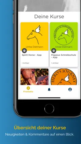 Game screenshot Ulrike Dietmann hack