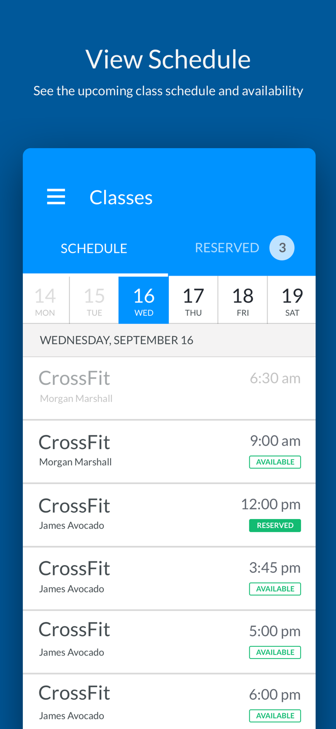 CrossFit Four Pillars