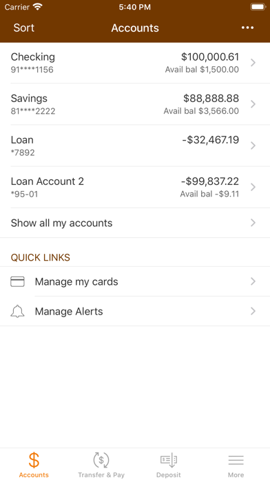 First National Bank Darlington Screenshot