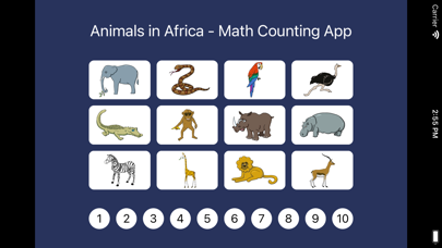 Animals in Africa - Math App Screenshot