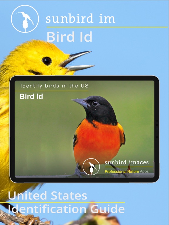 Screenshot #4 pour Bird Id USA - backyard birds