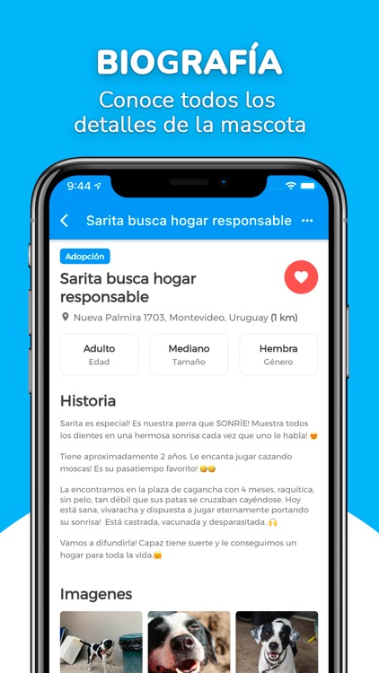 Taponto screenshot-5