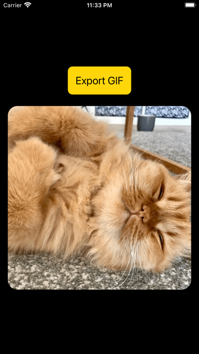 Wow GIF Maker Screenshot 4 - AppWisp.com Wow GIF Maker Screenshot 4 - AppWisp.com