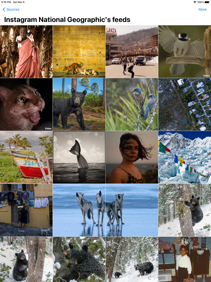 Flow - Media browser