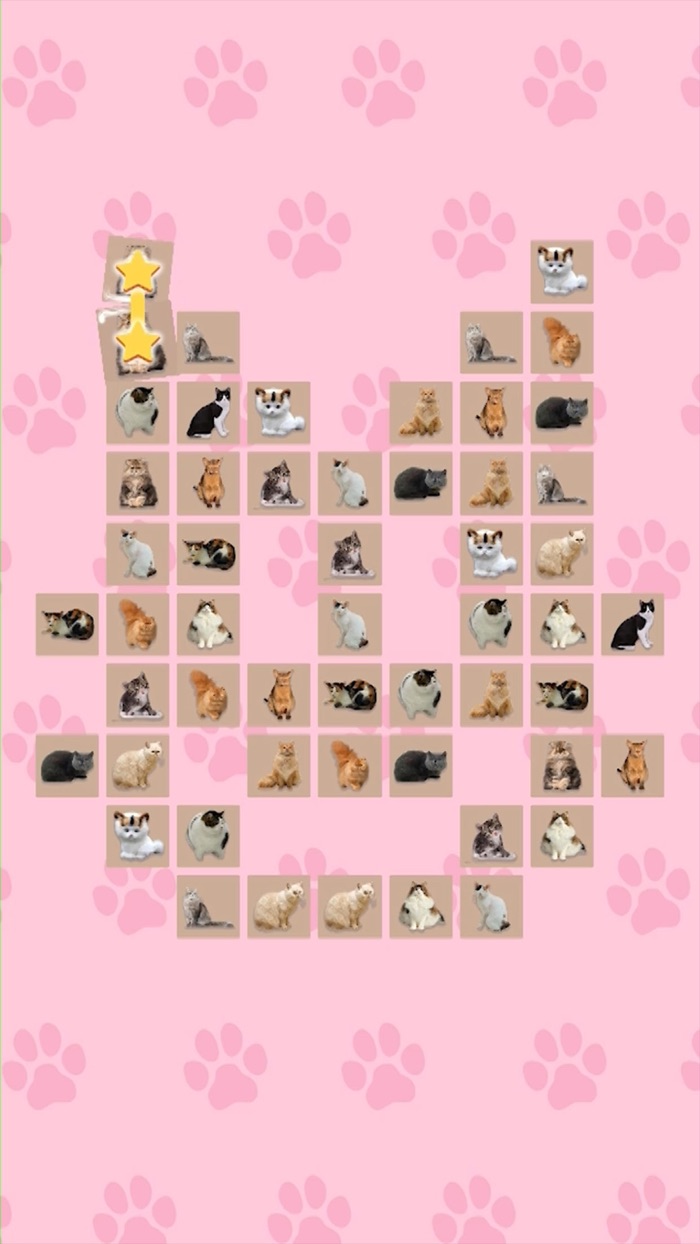 Oneto Connect Puzzle