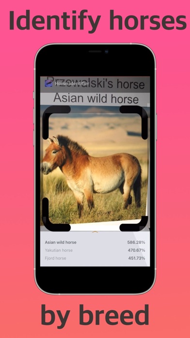 Horse Identifier Screenshot
